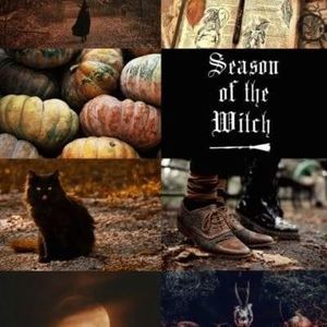 Meet your Posher, Lisa frances